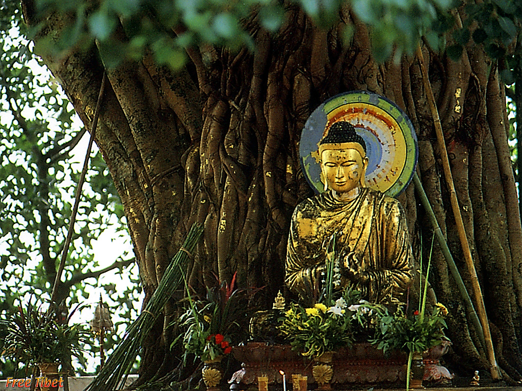 Изображение:Tibet02.jpg