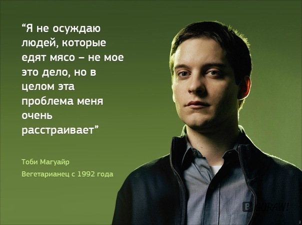 Изображение:TamQuiBuddhismToby.jpg