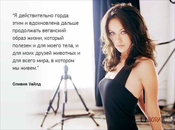 Изображение:TamQuiBuddhismOlivia.jpg