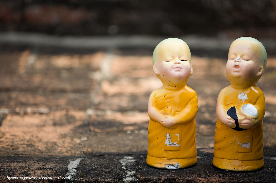 Изображение:Tamqui buddism news384.jpg