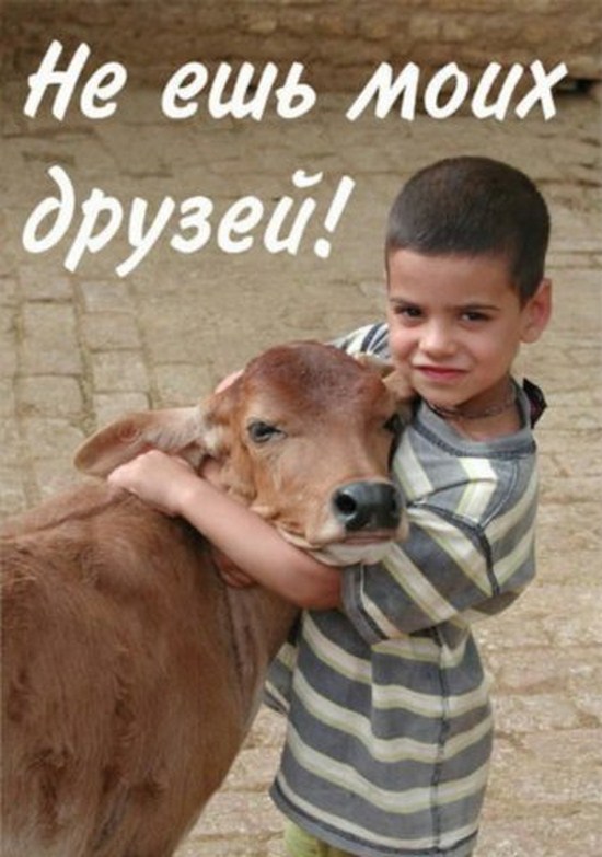 Изображение:Veg-moi druzya.jpg