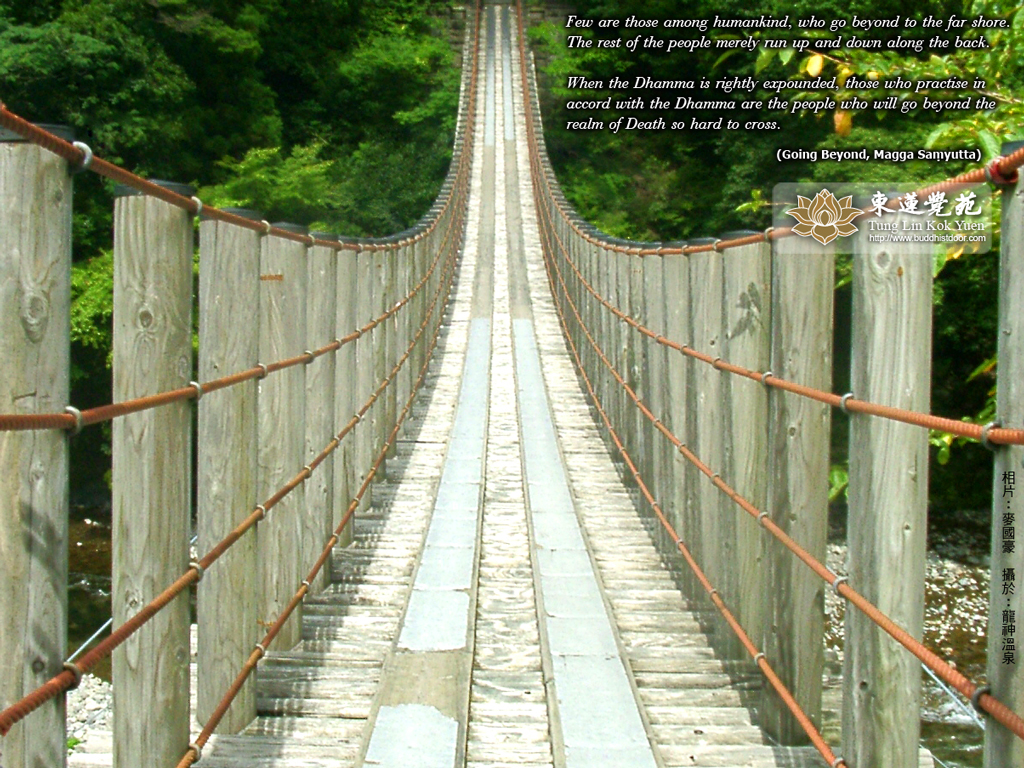 Изображение:Bridge wallpaper 1024X768.jpg
