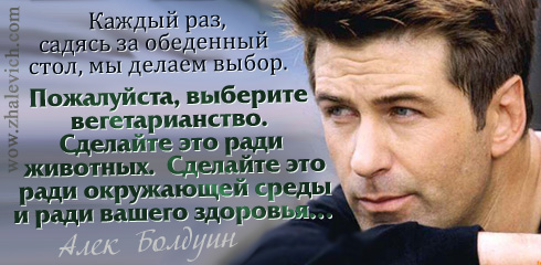 Изображение:Veg alek.jpg