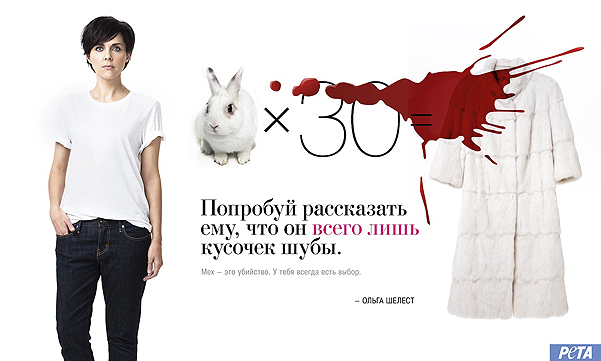 Изображение:Peta shelest tamqui.jpg