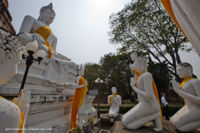 Wat Yai Chai Mongkhon