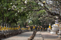 Wat Yai Chai Mongkhon