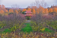 Spring Retreat in Plum Village