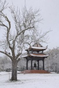 Christmas And New Years Celebration in the Plum Village