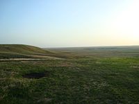 Фото Там Куи
