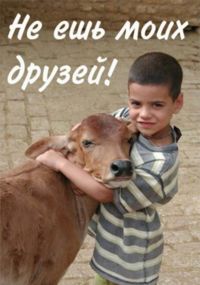 День вегетарианства и вселенской любви в Циферблате