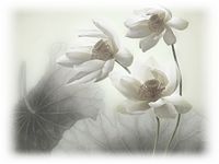 Буддийская Живопись и каллиграфия